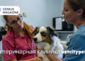 ветеринарная клиника vetcitypets