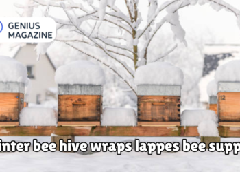 winter bee hive wraps lappes bee supply