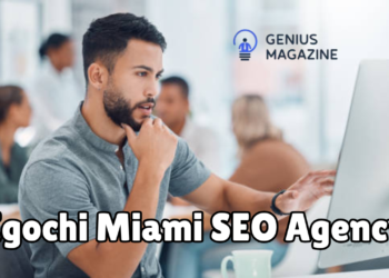 Egochi Miami SEO Agency