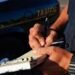 How to Identify the Officer Who Issued Your Traffic Ticket